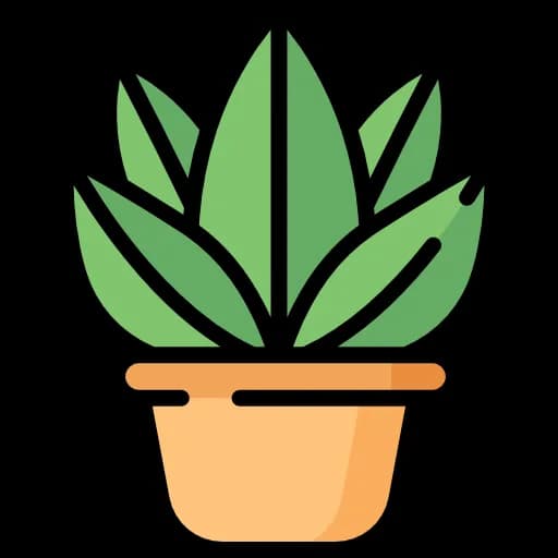 Planta decorativa